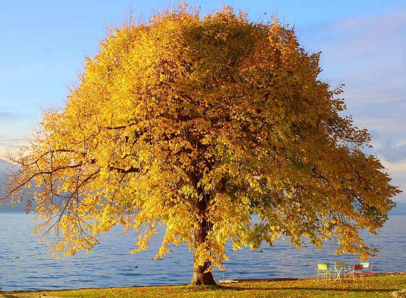 Serene Nature Sanctuary